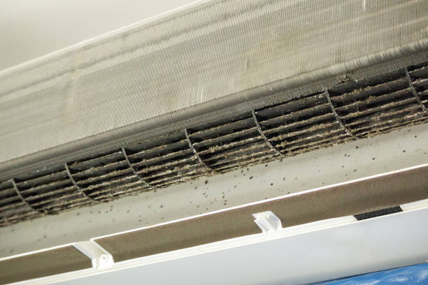 Best Best Air Duct Cleaning Company  in Aledo, TX